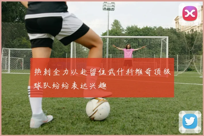 热刺全力以赴留住武什科维奇顶级球队纷纷表达兴趣